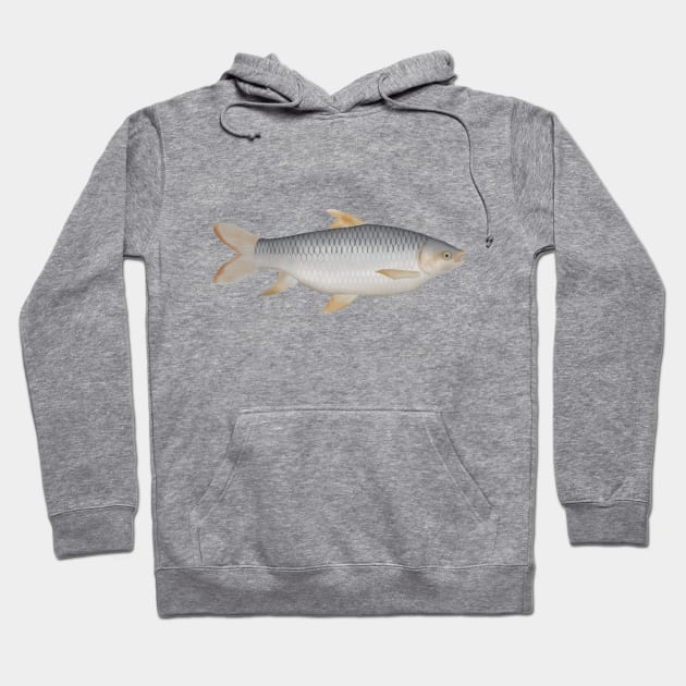 Hoven's Carp Hoodie by FishFolkArt